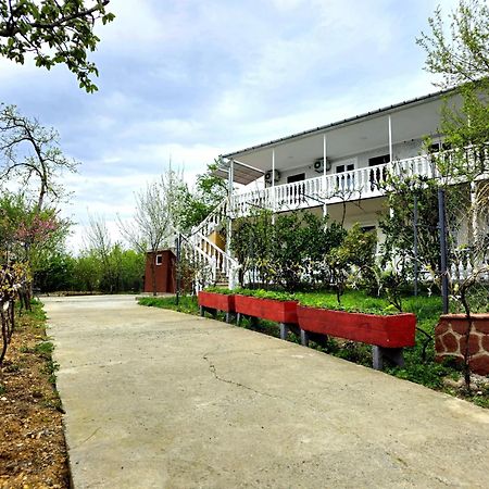 Hilltop Guest House Koetaisi Buitenkant foto